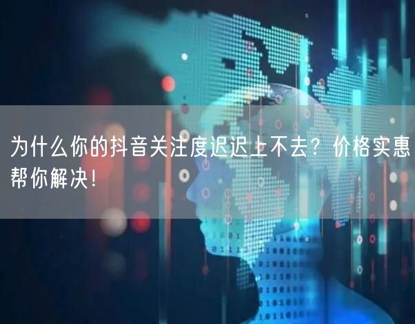 为什么你的抖音关注度迟迟上不去？价格实惠帮你解决！