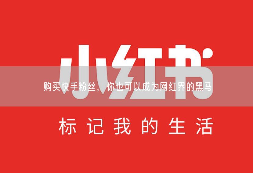 购买快手粉丝，你也可以成为网红界的黑马