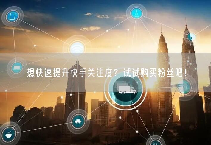 想快速提升快手关注度？试试购买粉丝吧！