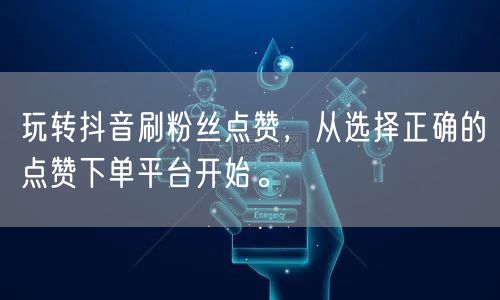 玩转抖音刷粉丝点赞，从选择正确的点赞下单平台开始。